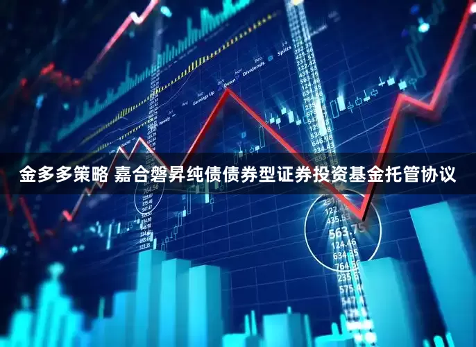 金多多策略 嘉合磐昇纯债债券型证券投资基金托管协议