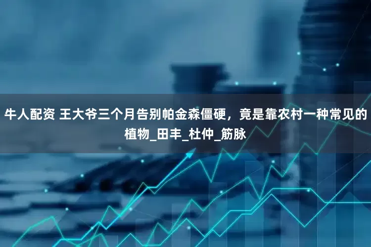牛人配资 王大爷三个月告别帕金森僵硬，竟是靠农村一种常见的植物_田丰_杜仲_筋脉